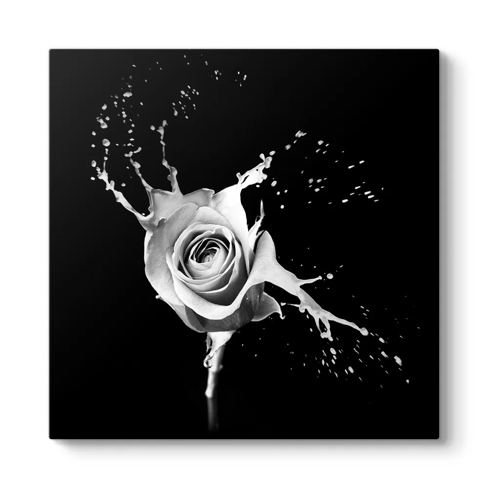 Beyaz Sıçrama I Tablosu - Model 3